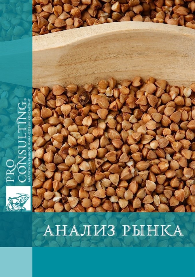 Анализ рынка гречневой крупы в Польше. 2012 год